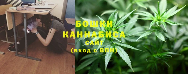 стаф Баксан
