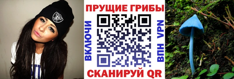 закладка Оха Псилоцибиновые грибы мицелий